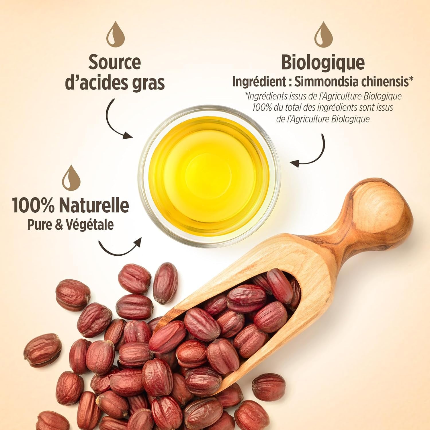 Huile De JOJOBA Bio 150 Ml - Cosmos Organic -  - Pure, Naturelle Et Pressée À Froid - Cheveux, Corps, Peau