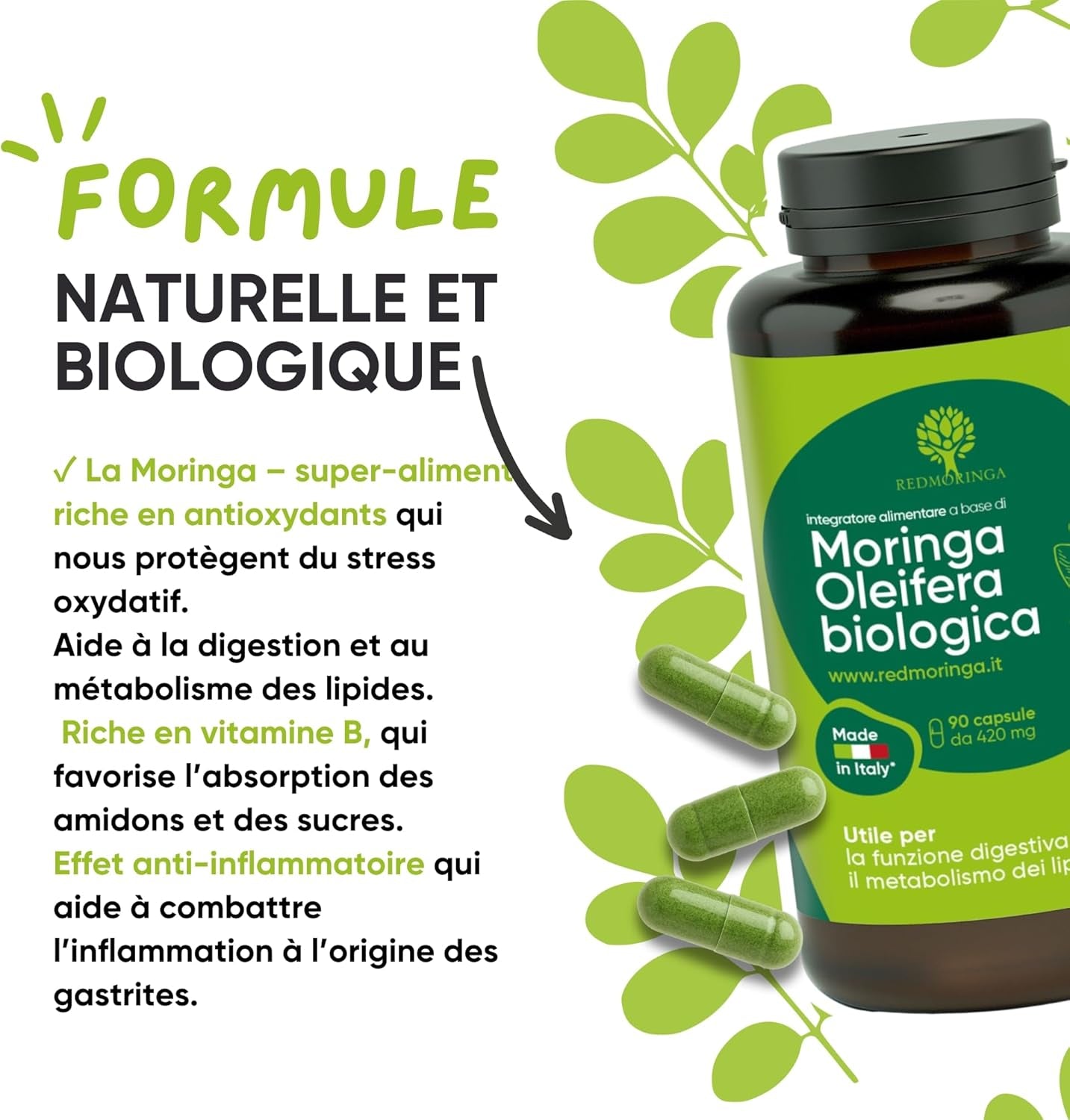 Moringa Bio | La Seule Moringa Biologique Produite En Italie | Véganes Sans Additifs | Super Antioxydant Riche En Vitamines Et Protéines Végétales | Haute Qualité  | 90 Gélules